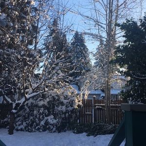 Meet your Posher, Steven